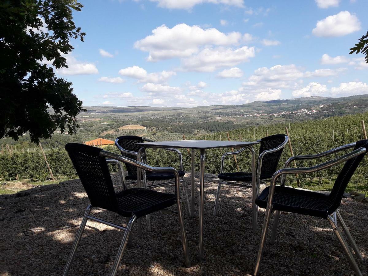 Quinta da Cabrida Douro - Casa Real Gala Sendim (Viseu) Exterior foto
